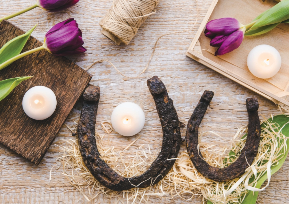 PALM-CENTRAL-4 Palm Olympia